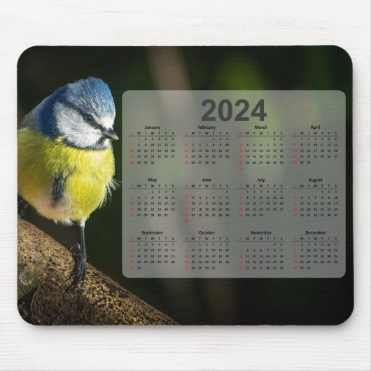 Tapis De Souris Calendrier Little Blue Tit Bird 2024 (Devant)