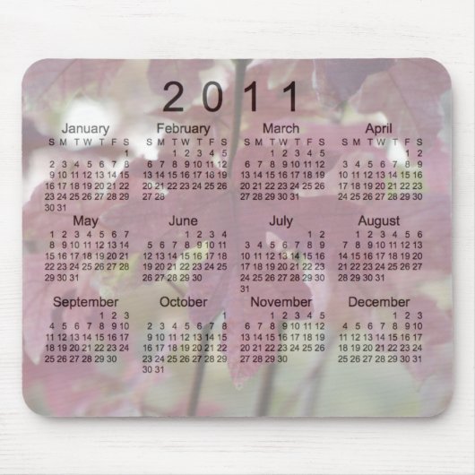 Tapis De Souris Calendrier Paysages 2011 (Devant)