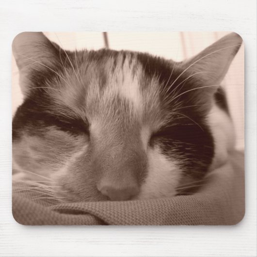 Tapis De Souris Calico Cat Mousepad (Devant)