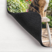 Tapis De Souris Calico Cat on a Stool in a Greenhouse (Coin)