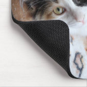 Tapis De Souris Calico Cricket Kitty (Coin)