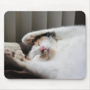 Tapis De Souris Calico dormant dans la bouche du soleil