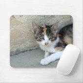 Tapis De Souris Calico Kitten (Avec souris)