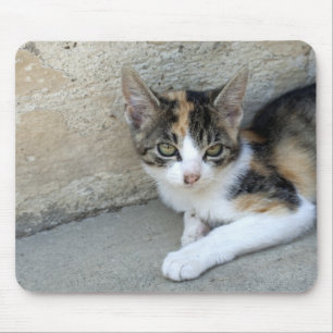 Tapis De Souris Calico Kitten