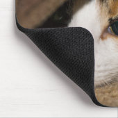 Tapis De Souris Calico Taco (Coin)
