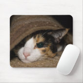 Tapis De Souris Calico Taco (Avec souris)