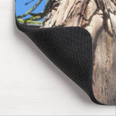 Tapis De Souris California Giant (Coin)