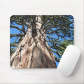 Tapis De Souris California Giant (Avec souris)