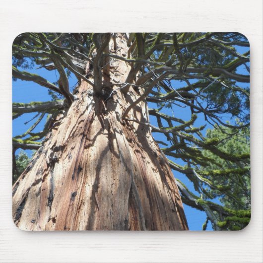 Tapis De Souris California Giant (Devant)