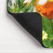 Tapis De Souris California Poppies (Coin)