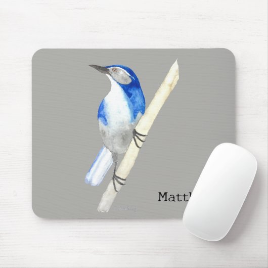 Tapis De Souris California Scrub Jay (Avec souris)