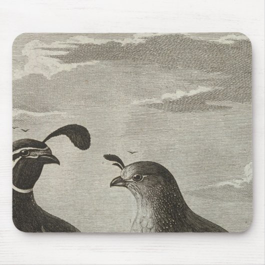 Tapis De Souris Californie (Devant)