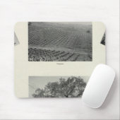 Tapis De Souris Californie 4 (Avec souris)