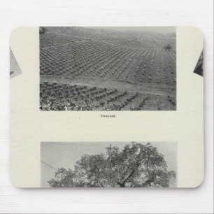 Tapis De Souris Californie 4