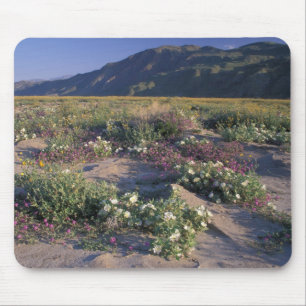 Tapis De Souris Californie, Anza-Borrego Desert SP, Sable