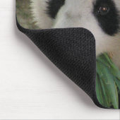 Tapis De Souris Câlins d'ours Panda (Coin)