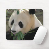 Tapis De Souris Câlins d'ours Panda (Avec souris)