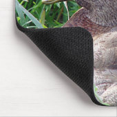 Tapis De Souris Call Duck Drake (Coin)