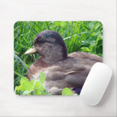 Tapis De Souris Call Duck Drake (Avec souris)