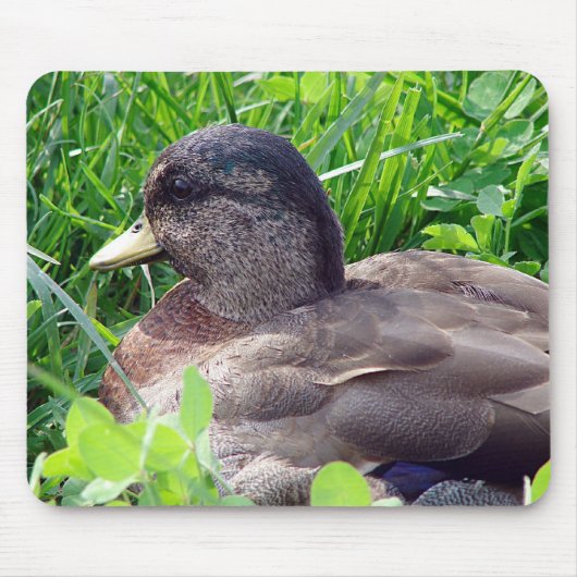 Tapis De Souris Call Duck Drake (Devant)