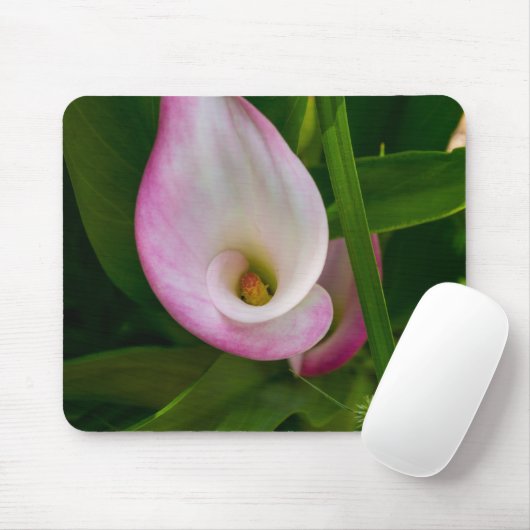 Tapis De Souris Calla Roll (Avec souris)