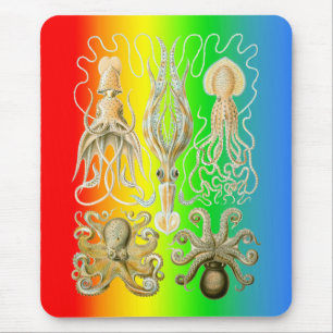 Tapis De Souris Calmars et Octopods