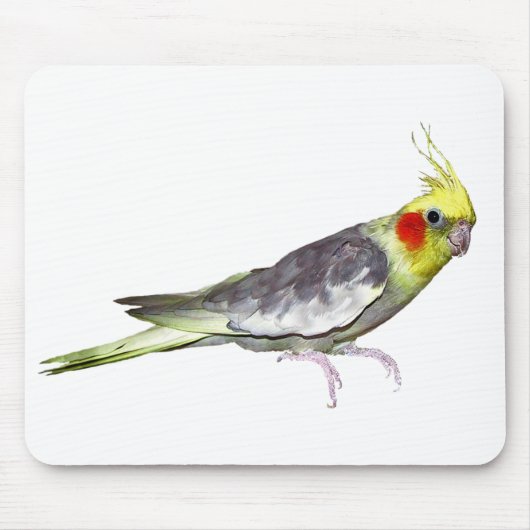 Tapis de souris Calopsitte (choisir la couleur) (Devant)