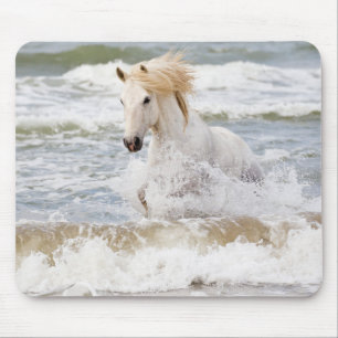 Tapis De Souris Camargue à cheval dans le Surf