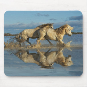 Tapis De Souris Camargue, Chevaux et réflexion, Sud de la France