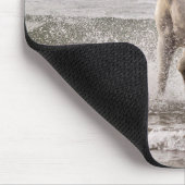 Tapis De Souris Camargue Horse court de Surf (Coin)