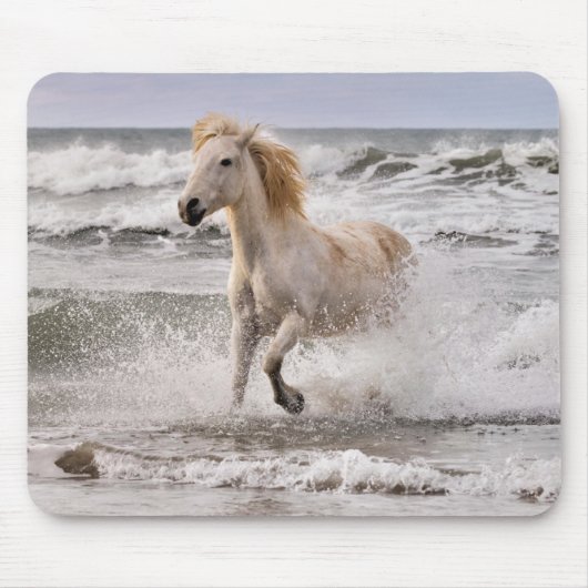 Tapis De Souris Camargue Horse court de Surf (Devant)