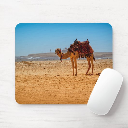 Tapis De Souris Camel (Avec souris)