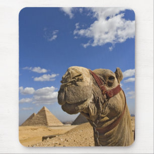 Tapis De Souris Camel devant les pyramides de Gizeh, Egypte,