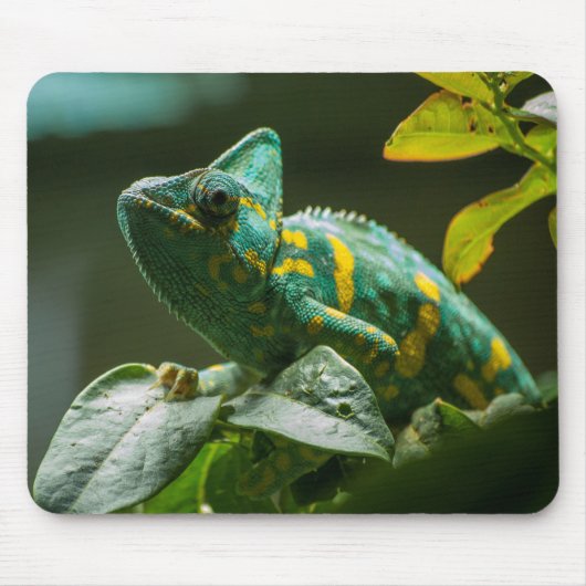 Tapis de souris Caméléon Vert (Devant)
