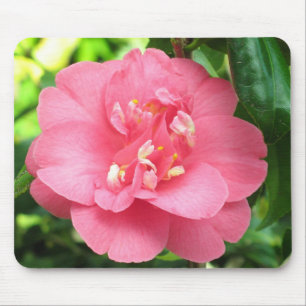Tapis De Souris Camélia rose Mousepad