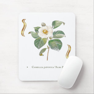 Tapis De Souris Camellia japonica 'Alba Plena' 