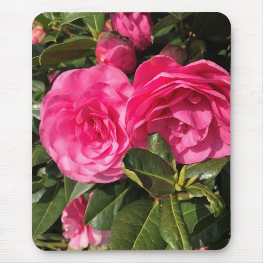 Tapis De Souris Camellia rose (Devant)