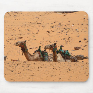Tapis De Souris Camels