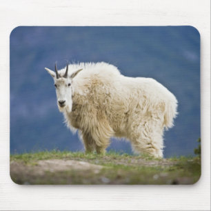 Tapis De Souris Canada, Alberta, parc national de Jasper,