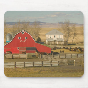 Tapis De Souris Canada, Alberta, Pincher Creek : grange rouge et r