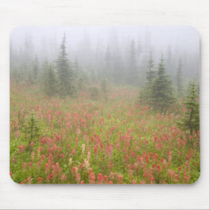 Tapis De Souris Canada, Colombie-Britannique, Revelstoke National