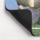 Tapis De Souris Canada Goos (Coin)