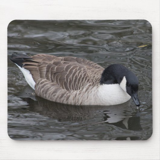Tapis De Souris Canada Goose (Devant)