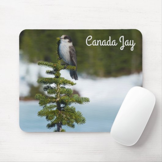 Tapis De Souris Canada Jay (Avec souris)
