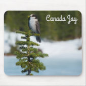 Tapis De Souris Canada Jay (Devant)