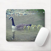Tapis De Souris Canada Oie Maman Bébés Nature (Avec souris)
