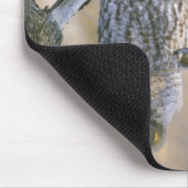 Tapis De Souris Canada, Québec. Grande chouette grise perchée sur (Coin)