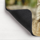 Tapis De Souris Canadien Lynx (Coin)