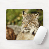 Tapis De Souris Canadien Lynx (Avec souris)