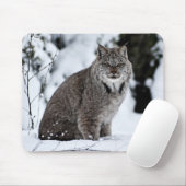 Tapis De Souris Canadien Lynx dans la neige (Avec souris)